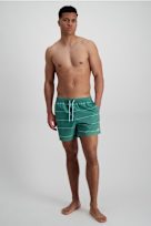 BEACH MOUNTAIN Allover costume da bagno uomo verde