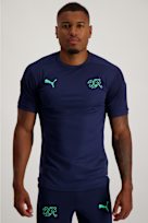 Puma SFV Training Herren T-Shirt dunkelblau