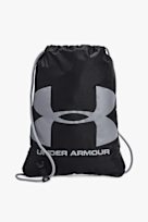 Under Armour Ozsee 16 L gymbag noir