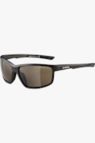 ALPINA Defey lunettes de soleil noir