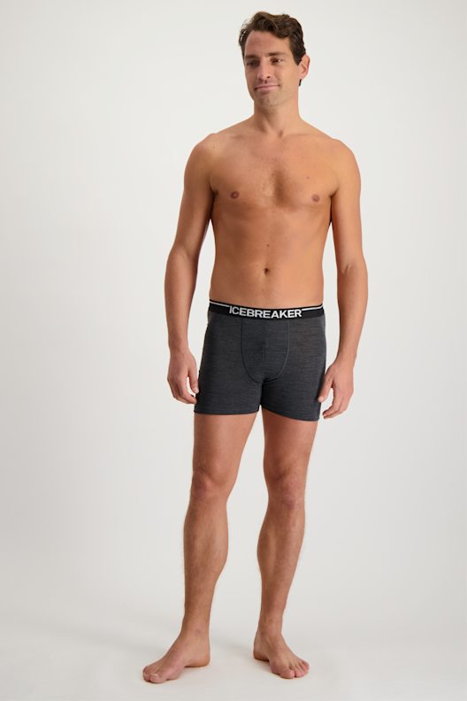icebreaker Anatomica 150 boxer hommes