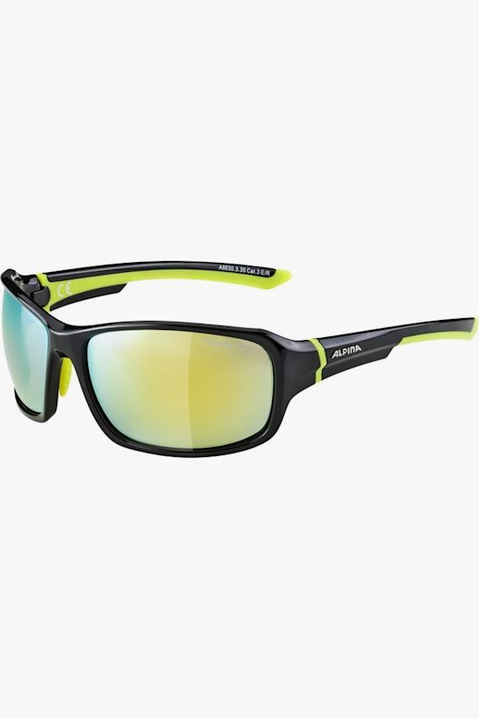 ALPINA Lyron lunettes de sport