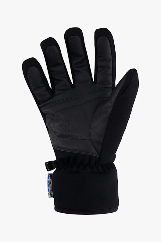 ALBRIGHT Schinhorn gant de ski hommes