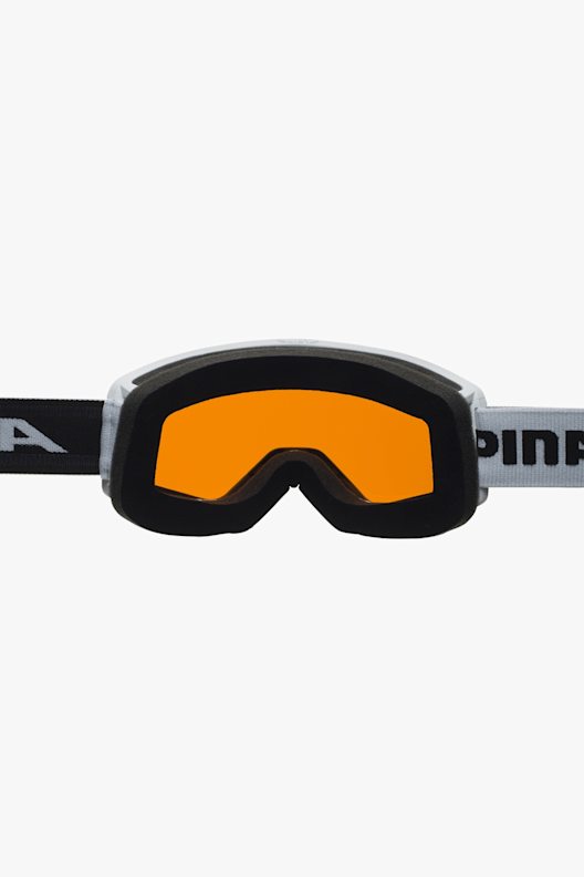 ALPINA Narkoja occhiali da sci