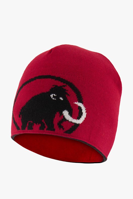 MAMMUT Logo Herren Mütze