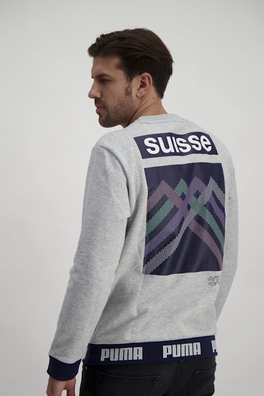 Puma SFV Herren Pullover