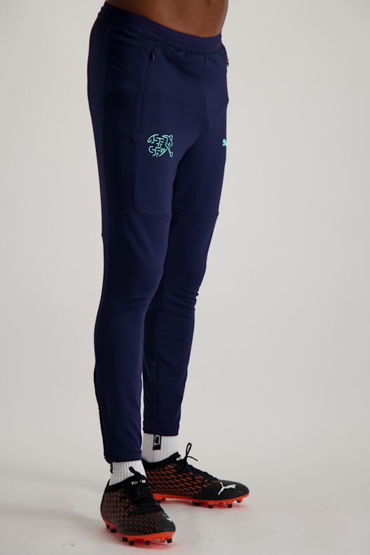 Puma SFV Training Herren Trainerhose