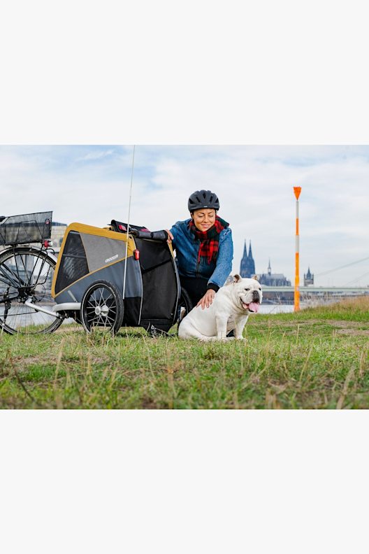 Croozer Dog Peppa remorque à vélo