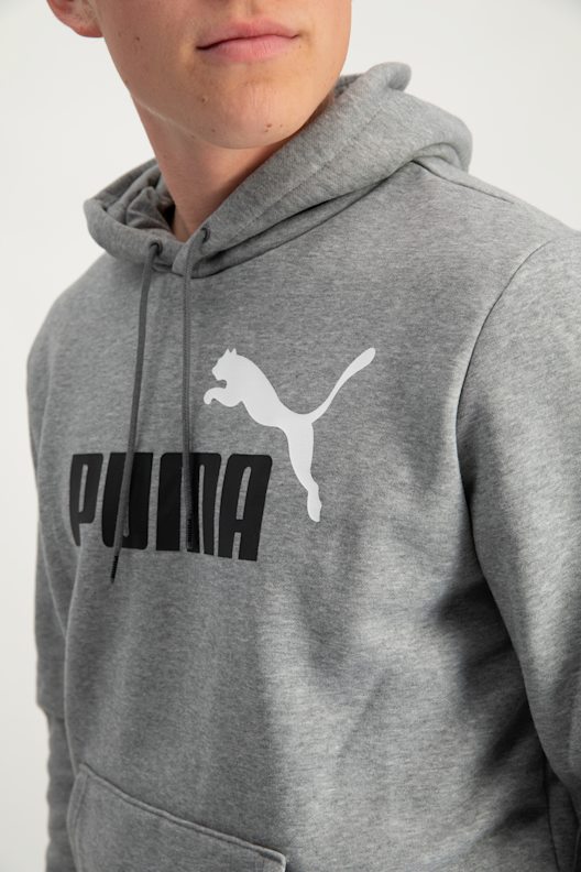 Puma ESS 2 Col Big Logo Herren Hoodie