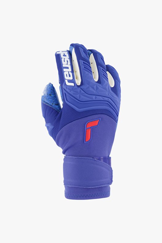 Reusch Attrakt Freegel Fusion Goaliator guanti da portiere