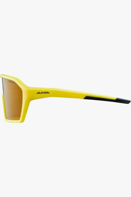 ALPINA RAM HM+ lunettes de sport