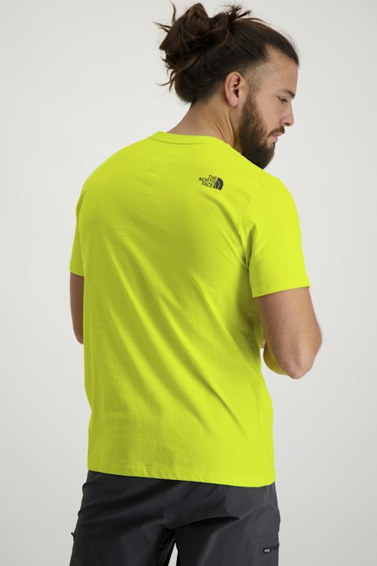 The North Face Foundation Graphic Herren T-Shirt