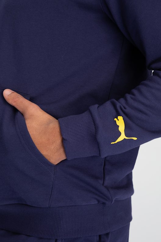 Puma Neymar Jr. Future Herren Hoodie