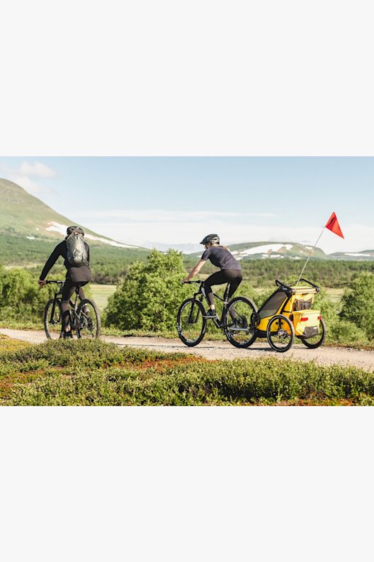 Thule Chariot Sport 2 remorque à vélo