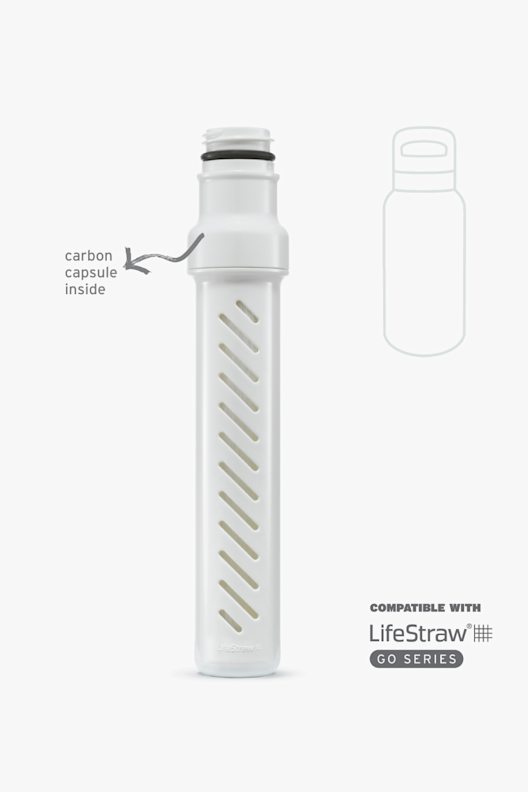 Bouteille filtrante à eau LifeStraw Go 2.0 en acier inoxydable - 700 ml - Violet chardon