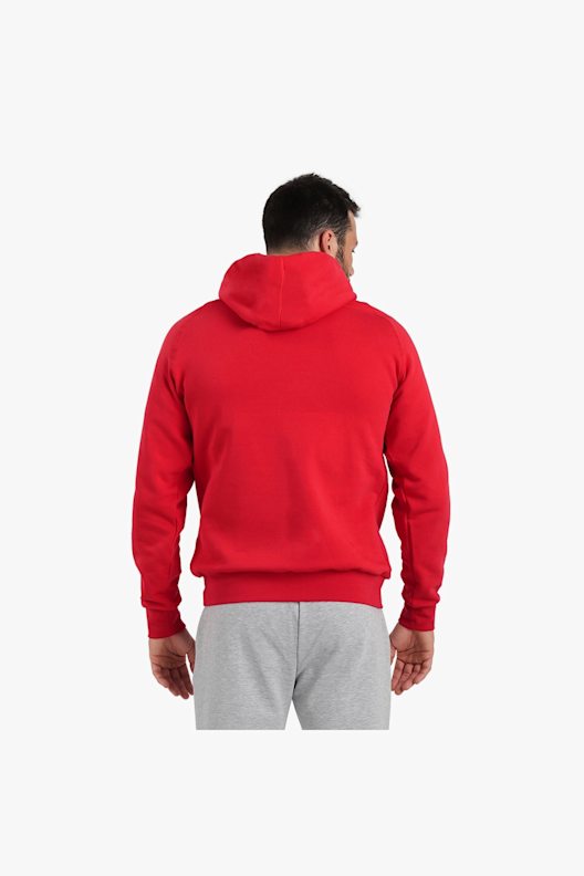 Arena Felpa Team Hooded Panel Red